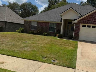 Lawn Care service in Donna, 78537