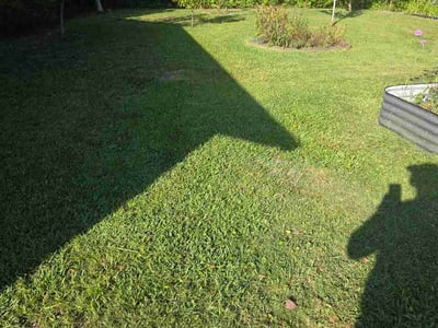 Lawn Care service in Wilmington, 28403