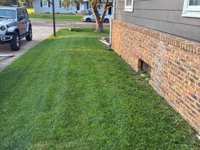 Lawn Care service in Bloomington, 61701