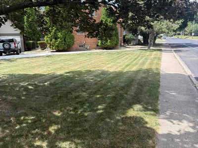 Lawn Care service in Bloomington, 61701