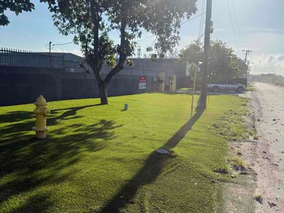 Lawn Care service in North Miami Beach, 33162