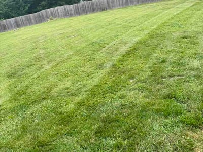 Lawn Care service in Traverse City, 49684