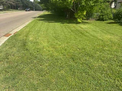 Lawn Care service in Farmington, 55024