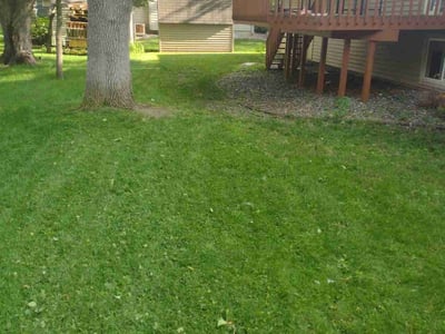 Lawn Care service in Saint Cloud, 56301