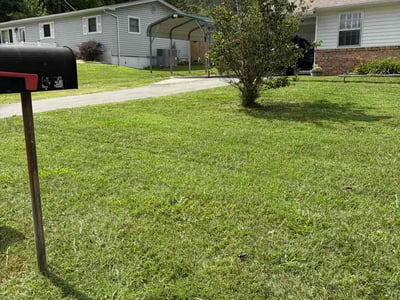 Lawn Care service in Clinton, 37716