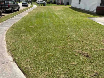 Lawn Care service in Jacksonville, 28540