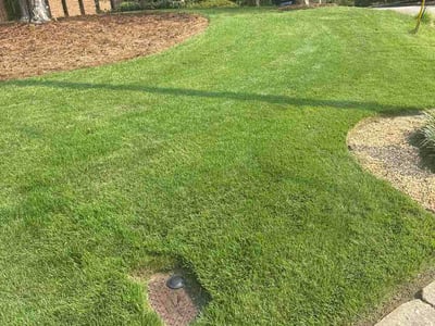 Lawn Care service in Flowery Branch, 30542