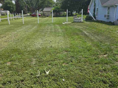 Lawn Care service in Normal, 61761