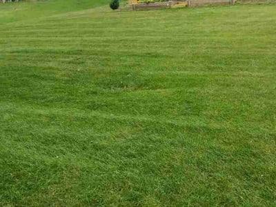 Lawn Care service in Normal, 61761
