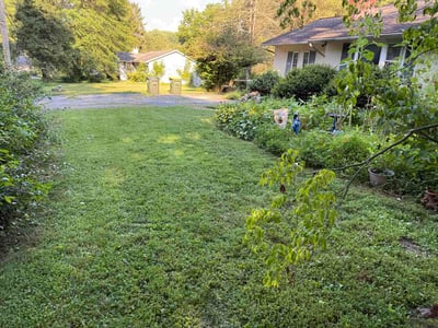Lawn Care service in Collegeville, 19426