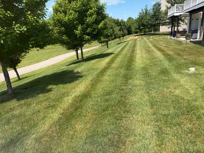 Lawn Care service in Collegeville, 19426