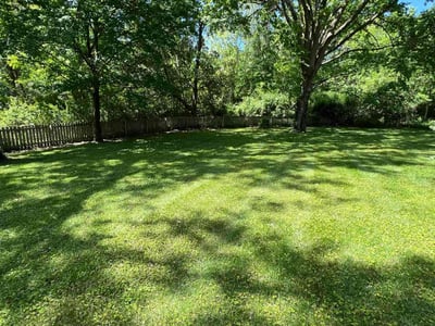 Lawn Care service in Grain Valley, 64029