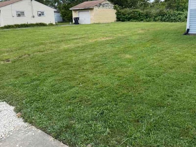 Lawn Care service in Antioch, 60002
