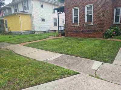 Lawn Care service in Antioch, 60002