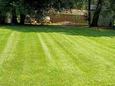 Lawn Care service in Warner Robins, 31088