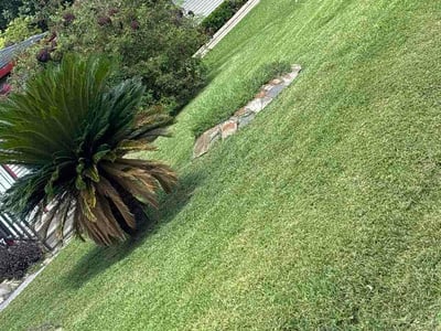 Lawn Care service in Mission, 78572