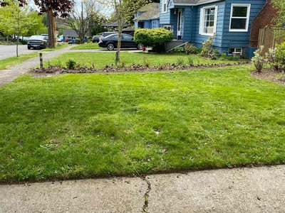 Lawn Care service in Canby, 97013