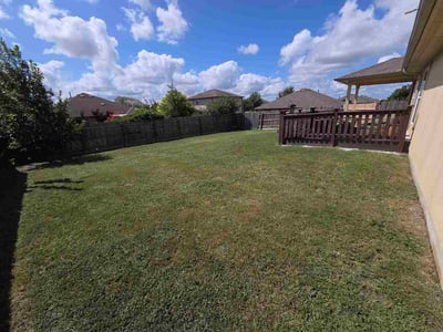 Lawn Care service in Alamo, 78516