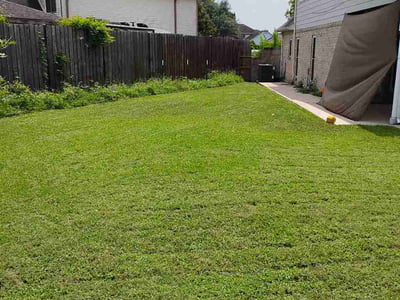 Lawn Care service in Alamo, 78516
