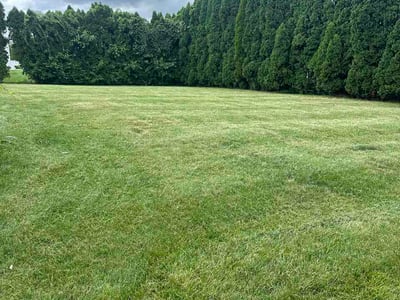 Lawn Care service in Easton, 18042