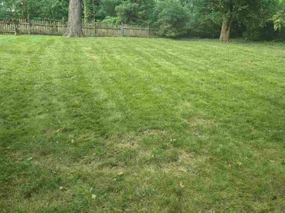 Lawn Care service in Paola, 66071