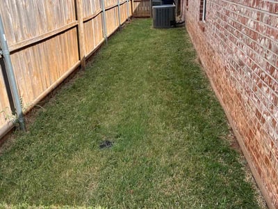 Lawn Care service in Edmond, 73034