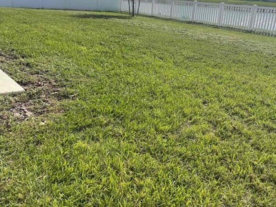 Lawn Care service in Ridgefield, 06877