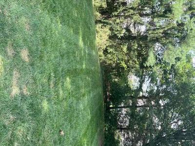 Lawn Care service in New Albany, 43054
