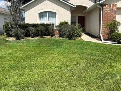 Lawn Care service in Auburndale, 33823