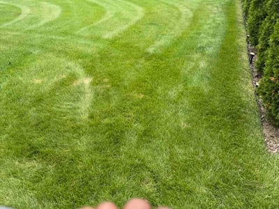 Lawn Care service in Jackson, 49201