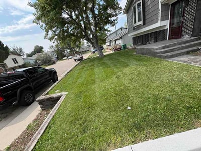Lawn Care service in Morrison, 80465