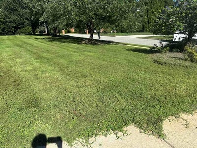 Lawn Care service in Kernersville, 27284