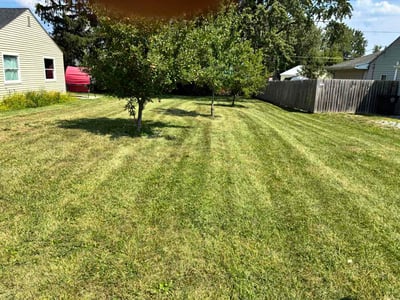 Lawn Care service in Jackson, 49201