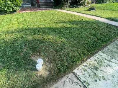 Lawn Care service in Drexel Hill, 19026