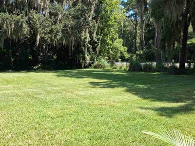 Lawn Care service in Santa Clarita, 91321