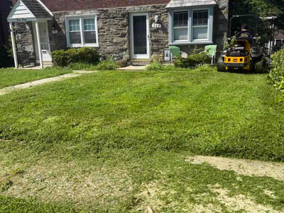 Lawn Care service in Drexel Hill, 19026