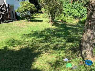 Lawn Care service in Lehigh Valley, 18103