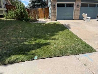 Lawn Care service in Morrison, 80465