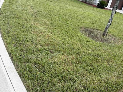 Lawn Care service in Saint Johns, 32259