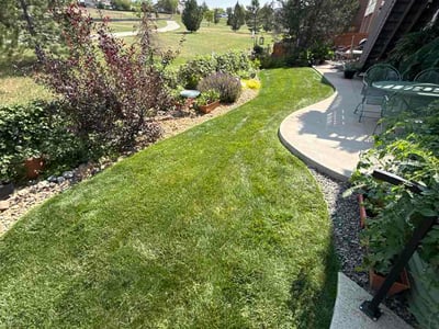 Lawn Care service in Morrison, 80465