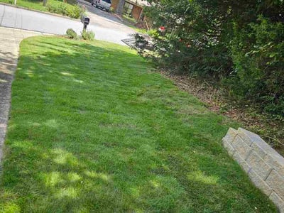 Lawn Care service in Redwood City, 94063
