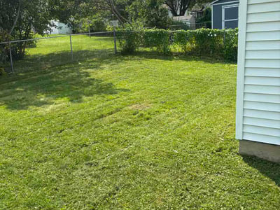 Lawn Care service in Waterloo, 50701