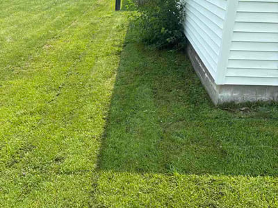 Lawn Care service in Waterloo, 50701