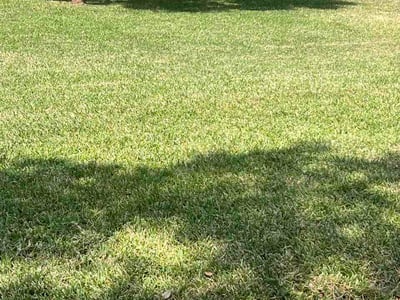 Lawn Care service in Waco, 76701
