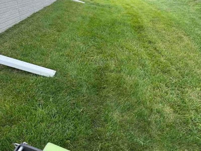 Lawn Care service in Waterloo, 50701
