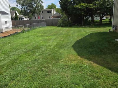 Lawn Care service in Princeton, 08542