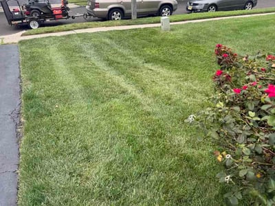 Lawn Care service in Princeton, 08542
