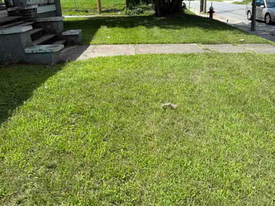 Lawn Care service in Thomasville, 27360