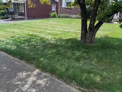 Lawn Care service in Winchester, 40391