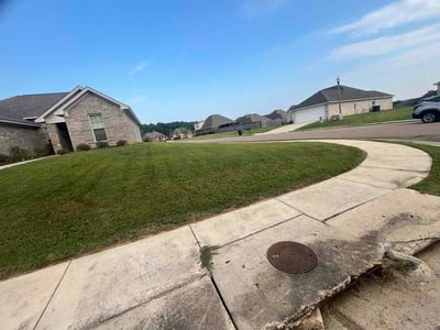 Lawn Care service in Brandon, 39042